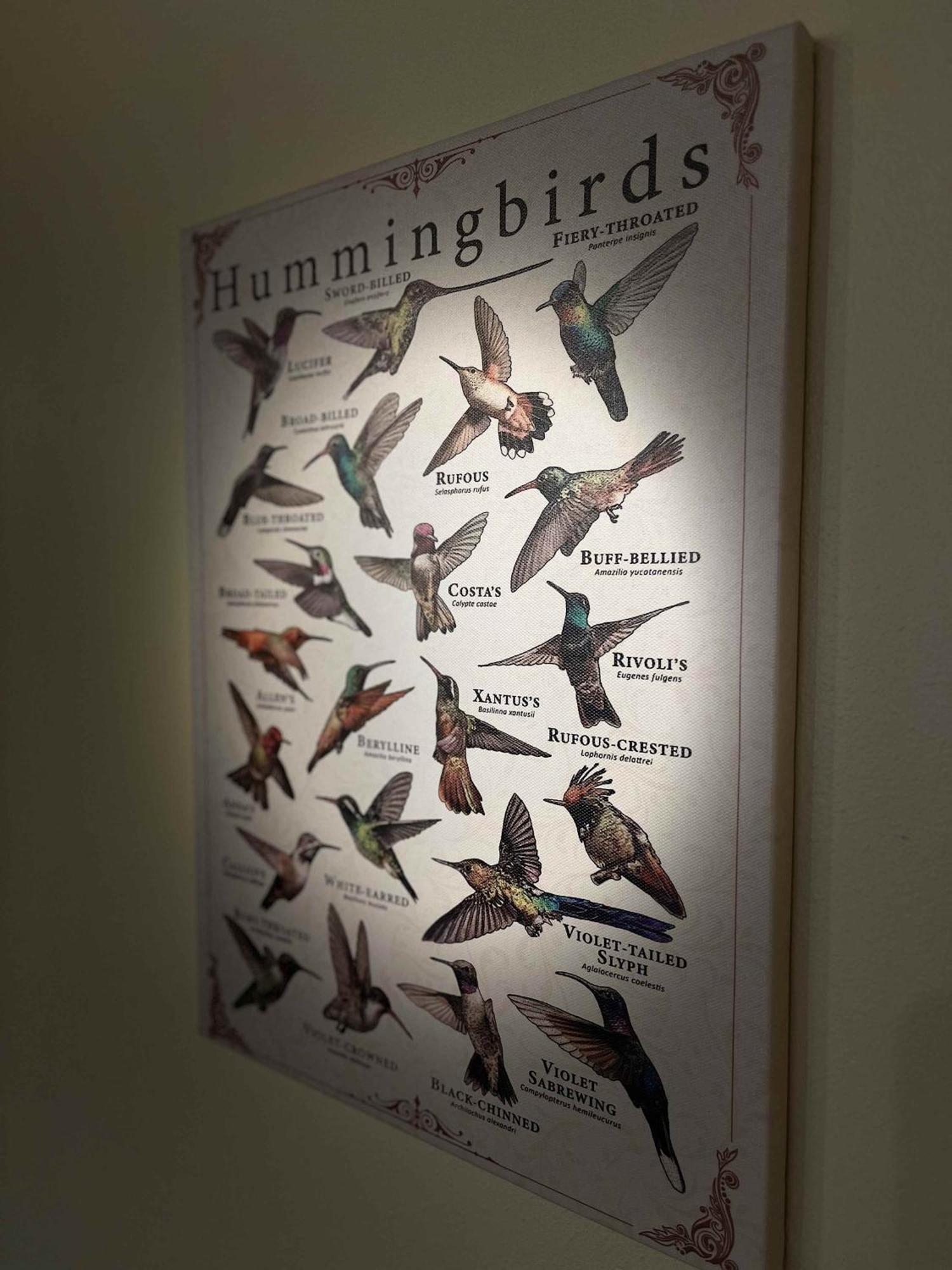 The Hummingbird At Zen Zion *